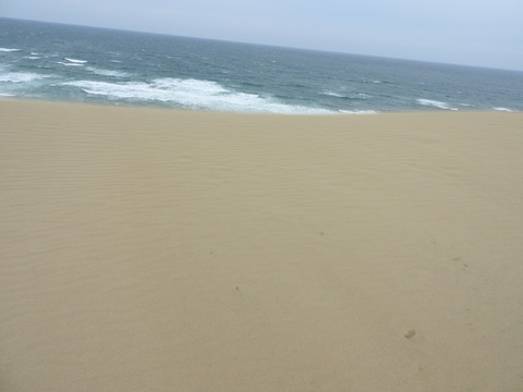 DSCN0893