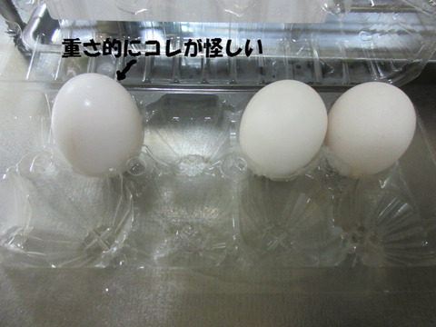 BlogPaint