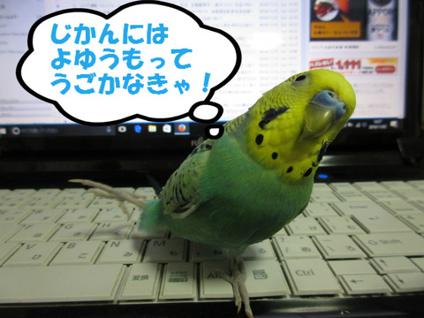 BlogPaint