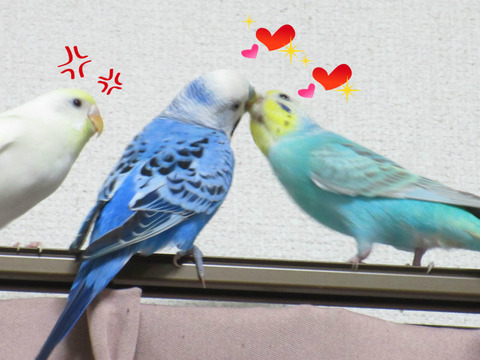 BlogPaint