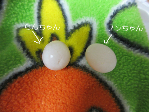 BlogPaint