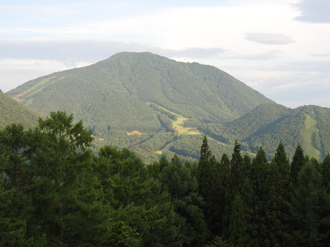DSCN1237
