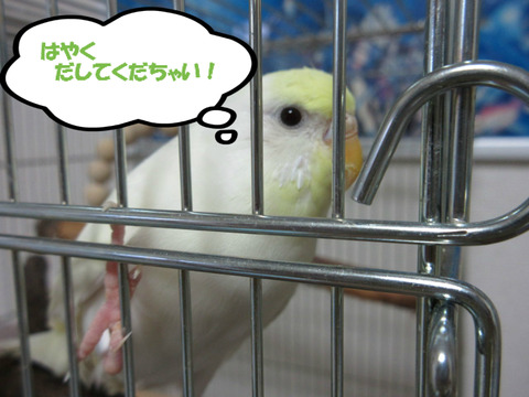 BlogPaint