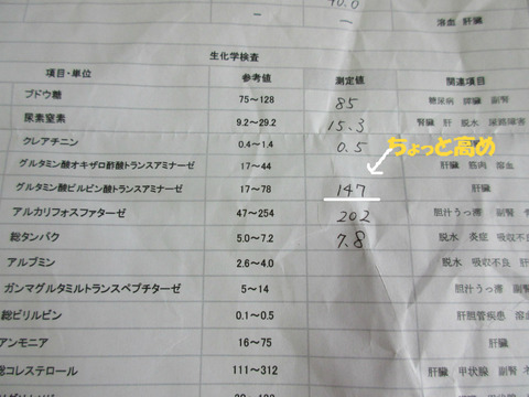 BlogPaint