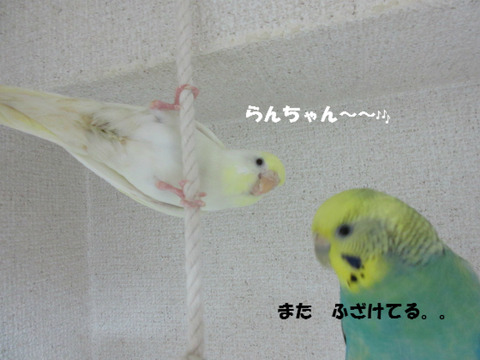 BlogPaint
