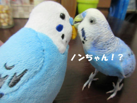 BlogPaint