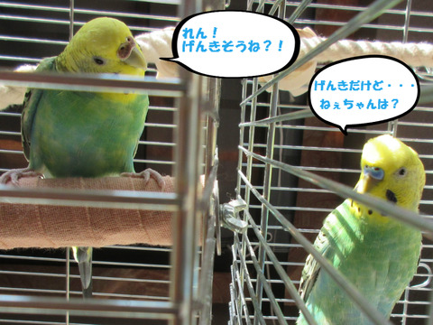 BlogPaint