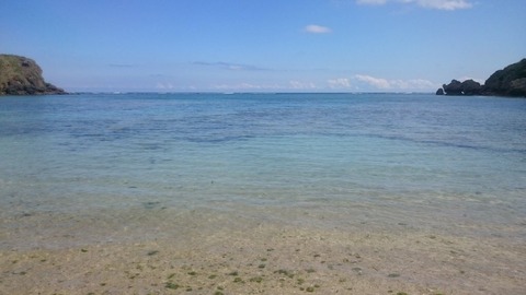 写真(1)