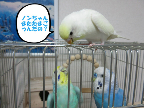 BlogPaint