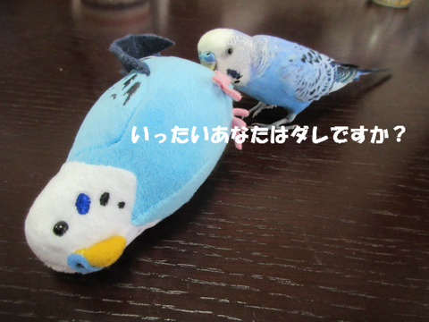 BlogPaint