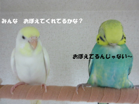 BlogPaint