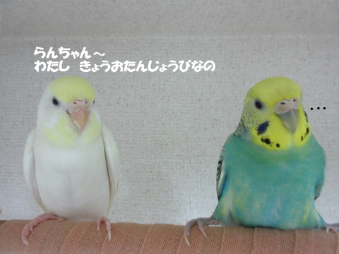 BlogPaint