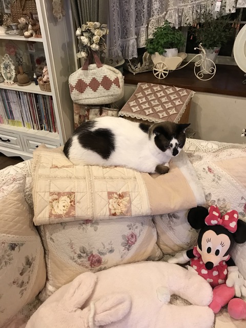 525CD2CE-6613-417B-BB3B-D2A12951494F