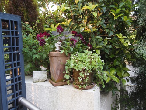 CC800F78-8122-47EF-BC2A-6E6087C55E6B