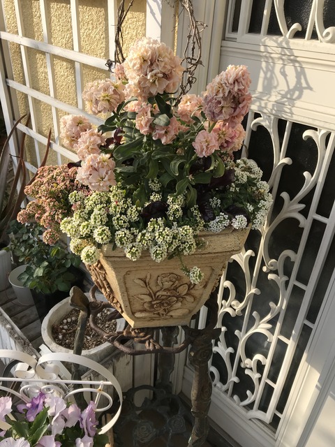 6691CD79-F78F-4E9E-8F5B-CA49D25FEA66