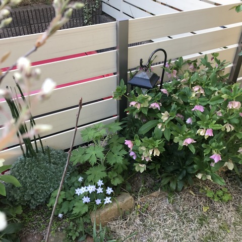 B0ED1F5E-1079-41C0-92B5-CA9DE92BD143