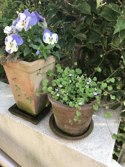 987761DA-EEB6-46AE-A423-AAF7EF97DA66