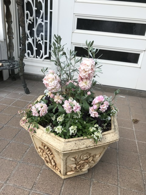 77A37C99-0EFF-4706-9440-F562D957F71A