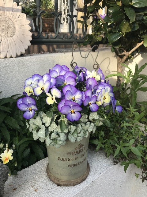 83E5CABE-594F-4C0F-948D-149BF3EDE745