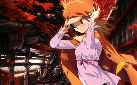 0001-b-bakemonogatari074_nin