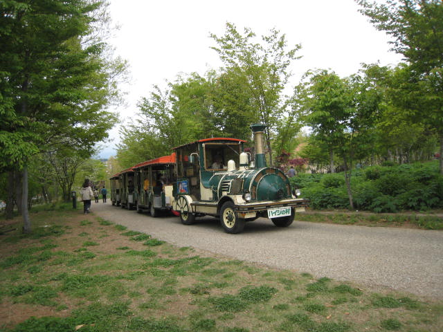 0f355d39.jpg