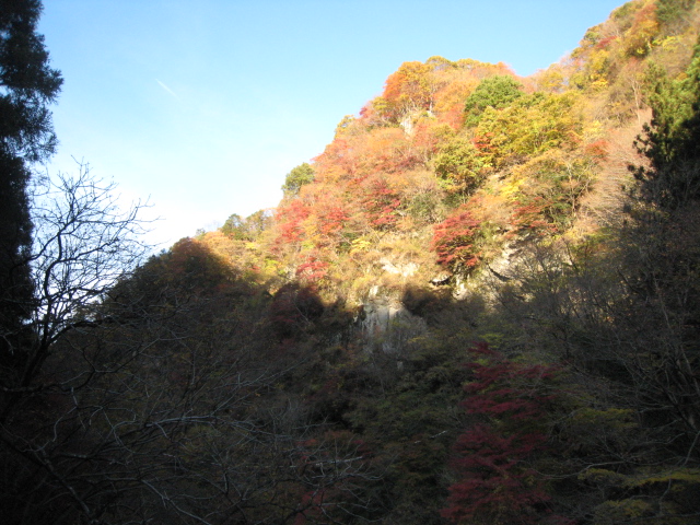 132a6243.jpg