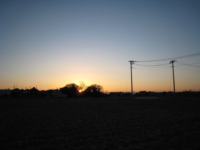 1cd8f771.jpg