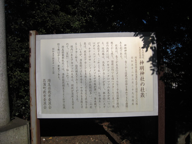 7998453c.jpg