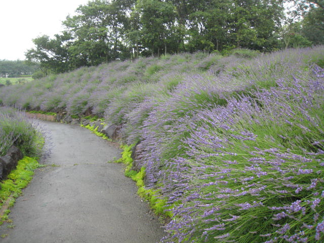 7c4a9358.jpg