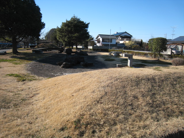 7f8774f8.jpg