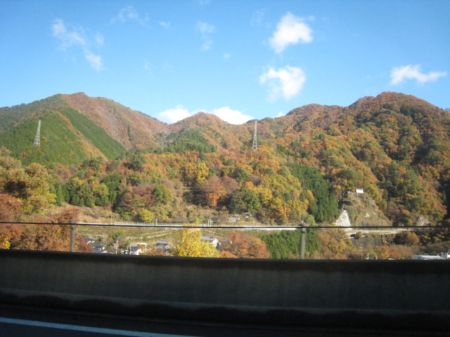 817a8199.jpg