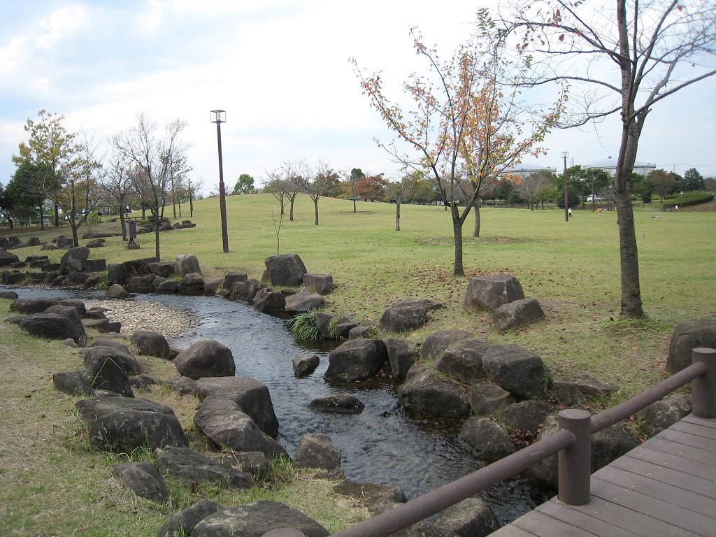 a095f219.jpg