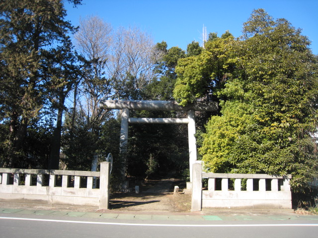 bc13b75b.jpg