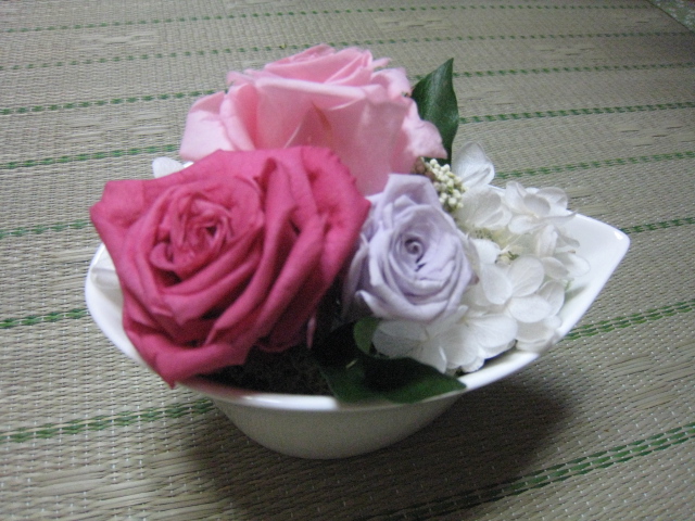 cbd42879.jpg