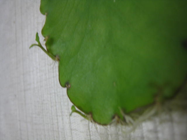 cdc9fe53.jpg