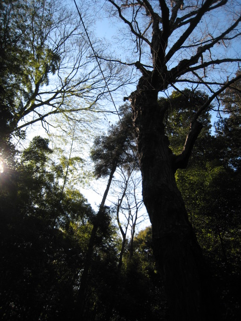 e049388d.jpg