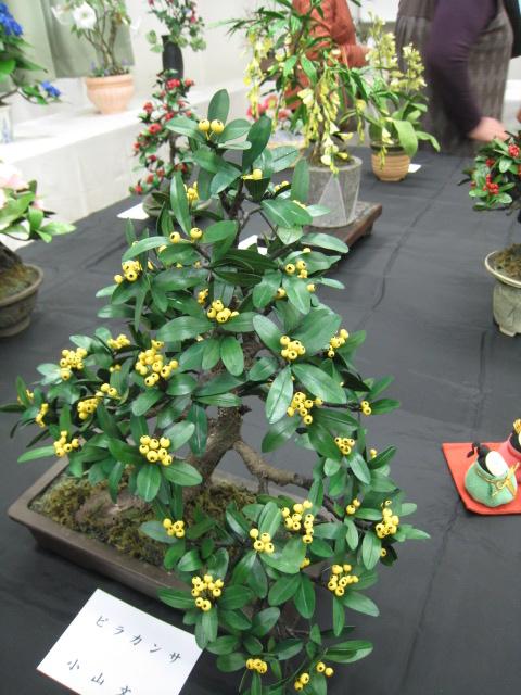 f7172599.jpg