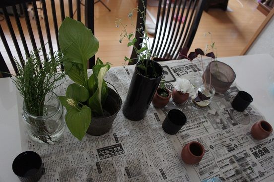 DSC08574