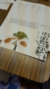 20150725_112929