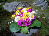 8848a524.jpg