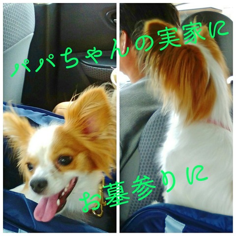 Fotor_152824192254170