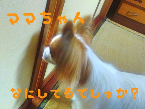 Fotor_152826864089348