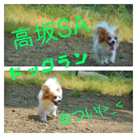 Fotor_152826840594140