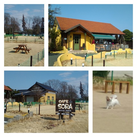Fotor_151835050914010