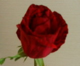01f26f0d.jpg