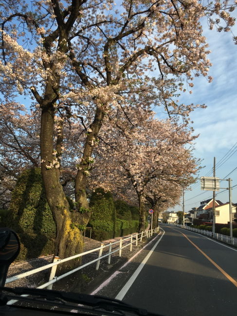 20170415_02