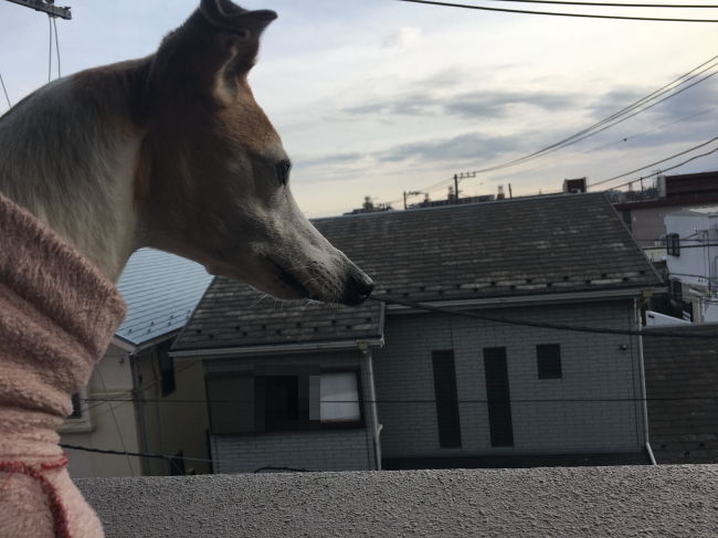 20190305_38