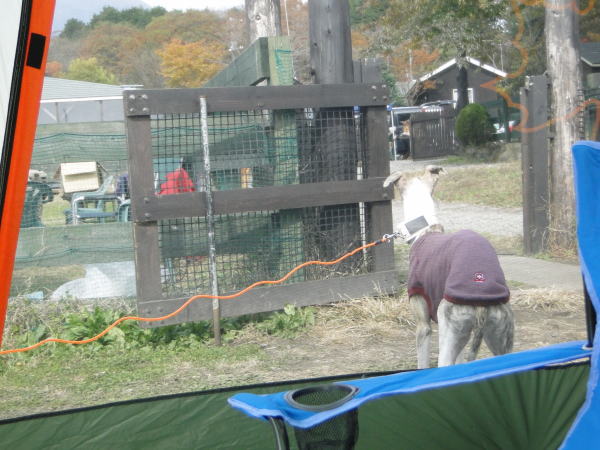 20101113_MtFuji_17