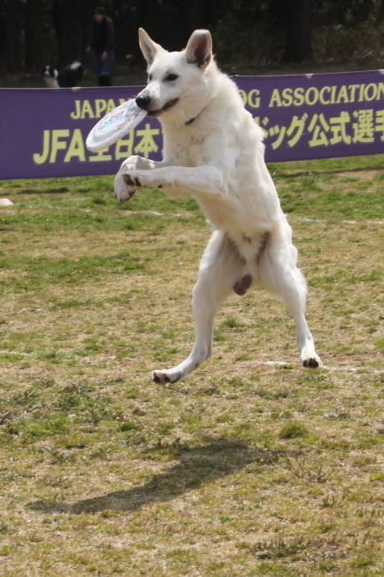 20170402_JFA_21