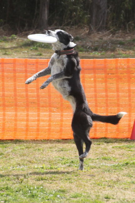 20170402_JFA_17